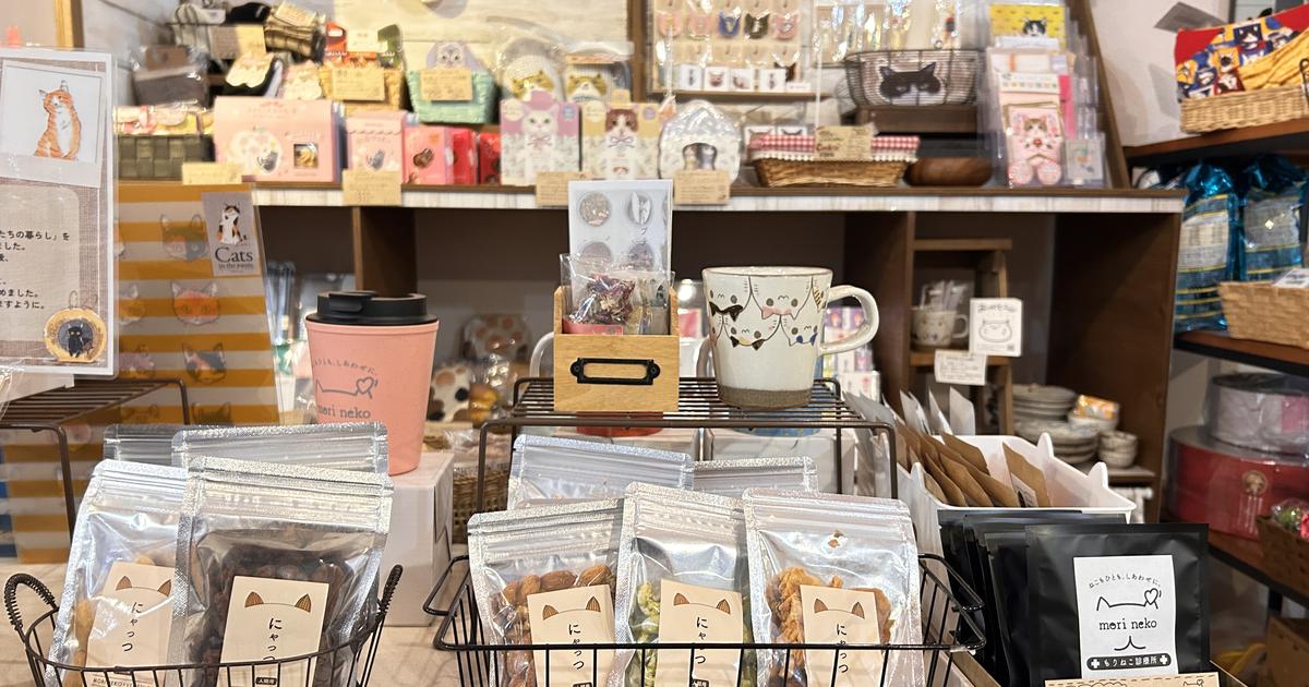 CATEGORY 保護猫支援 | NPO法人 もりねこ