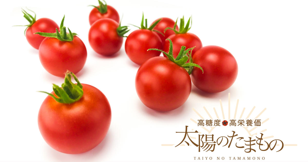 NADIA - FRUiTS  まとめ売り 32冊 pearly_4972228232128