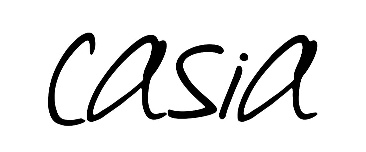 最終値下げ casia 水着M zebra triangle bikini tops | casia