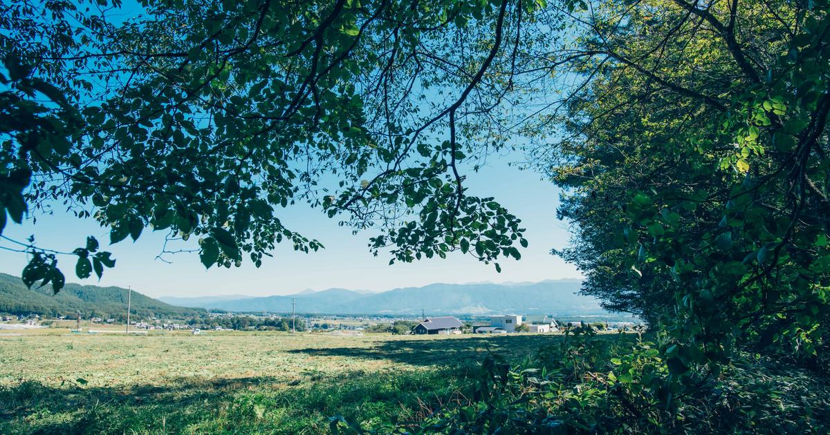 専用❤みかん＊もちふわ❤ヘアドライタオル❤ボンボンフレンズ♥ carari – 株式会社シービージャパン CB JAPAN CO.,LTD