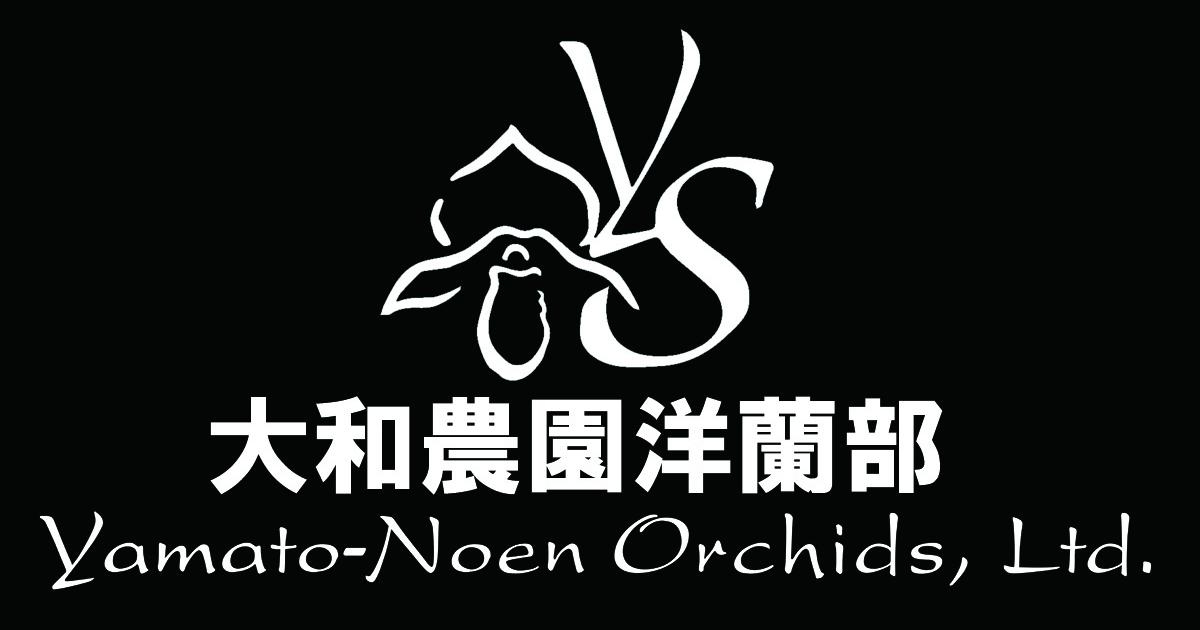 CATEGORY カタセタム系 | 大和農園洋蘭部