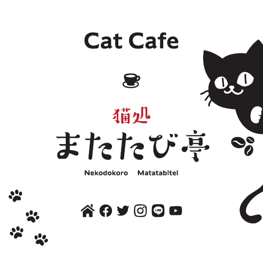 猫のまたたびページ 楽天市場】TVで話題のまたたび ランキング入賞 猫ちゃん大興奮 天然