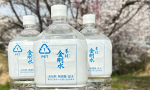 CATEGORY こけし | 香村工芸.