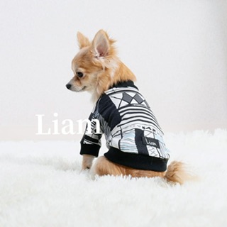 犬服  ラグラン(Ｌ)   ꒡̈⃝Lily꒡̈⃝ハンドメイド  在庫処分品 Liam dogshop
