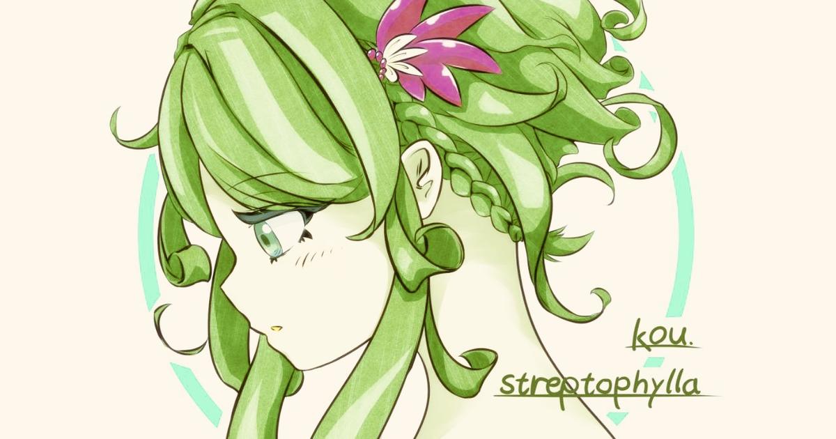 Tillandsia Ice Sordet 速達発送 Tillandsia Ice Sordet 速達発送