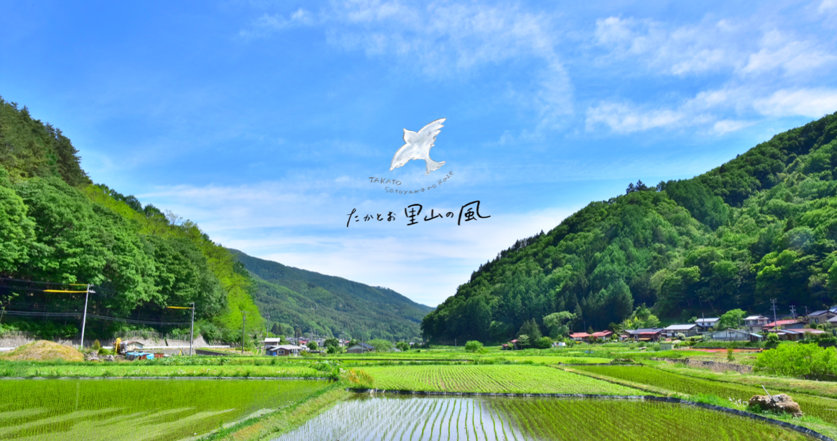 CATEGORY クロモジ | 高遠里山の風