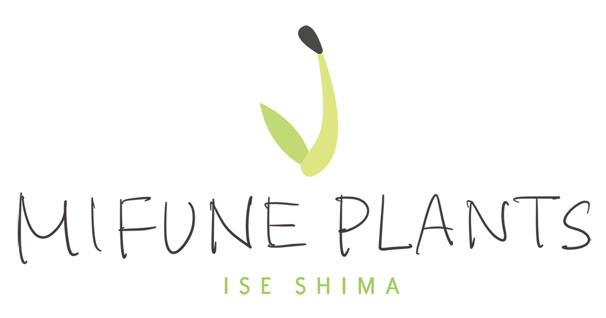 MIFUNE PLANTS