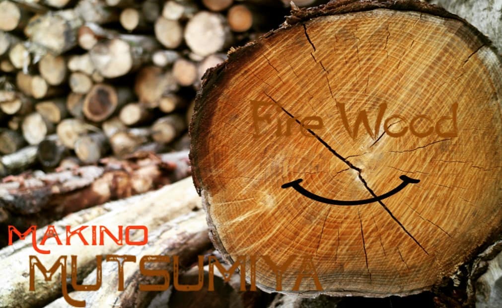 ★アカシア　短めの薪　100キロ単位 36㎝】アカシア100％ 8箱セット(200kg) | 薪の睦屋～Fire wood MUT