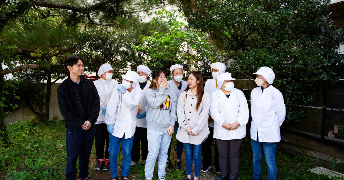 創業50年 たいら園