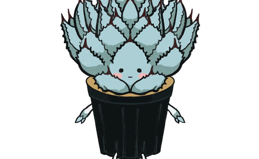 アガベの専門店 とげまる