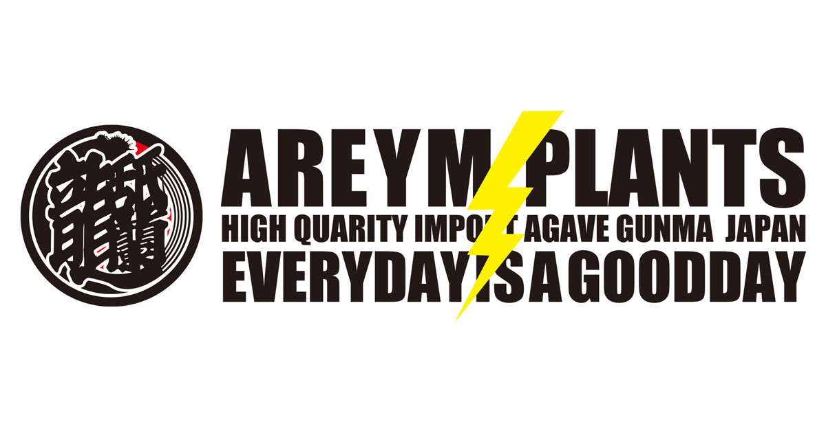 CATEGORY アガベ 小株 | アレイムプランツ