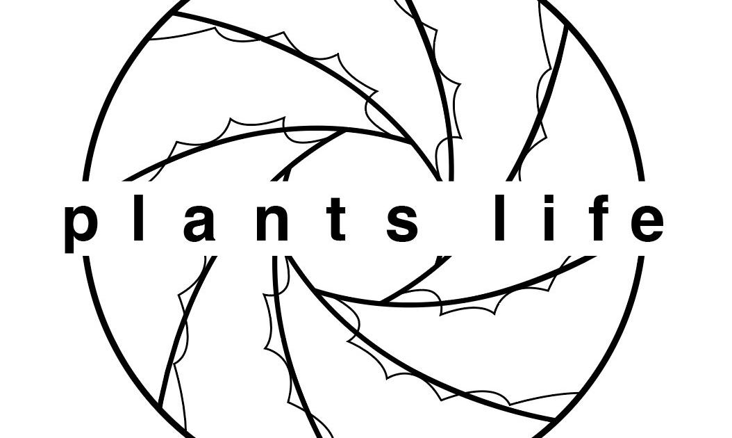 CATEGORY 植物 | plants life