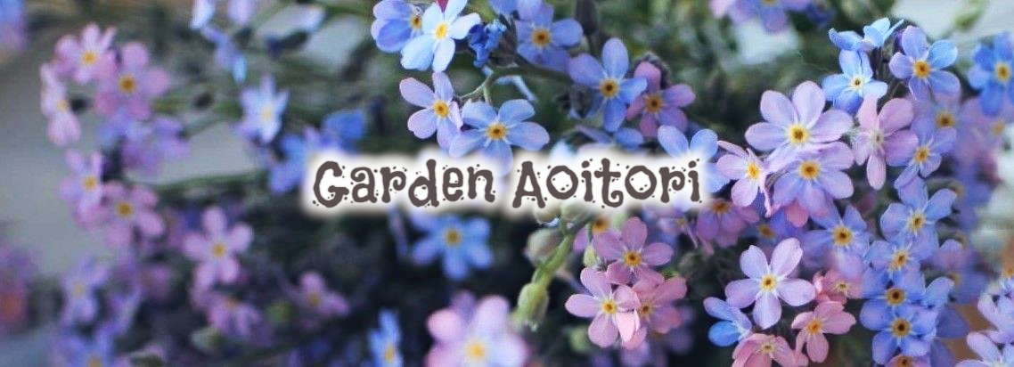 CATEGORY 4号～ | Garden Aoitori