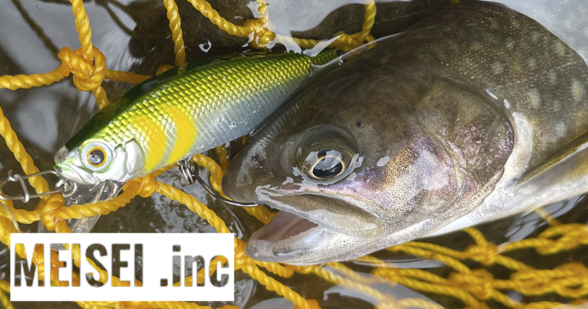 ブラックシープダイビングペンシル230XT　カタクチイワシ　我流工房　G163 ブラックシープダイビングペンシル230XT カタクチイワシ 我流工房 G163