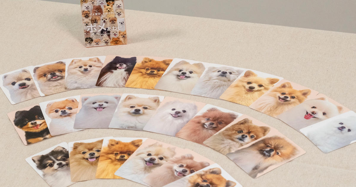 NEWS | わんにゃんあわせ